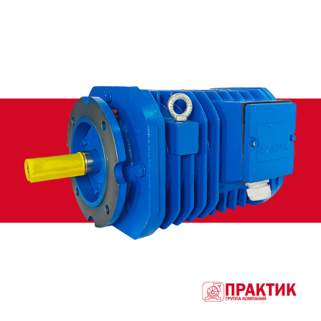 Электродвигатель рольганговый APM 63-10